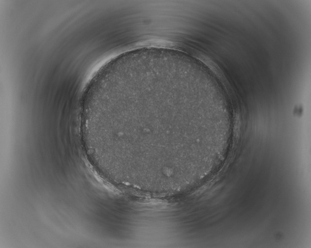 X0000113981115200911131049
