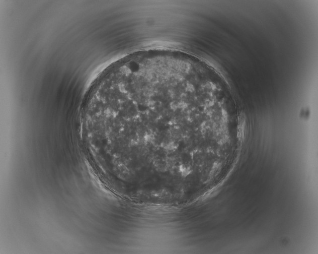 X0000113981117200911131049