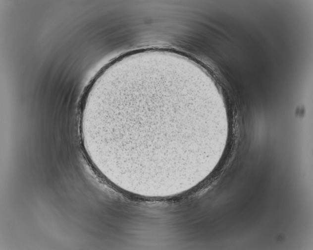 X0000113981118200911131049