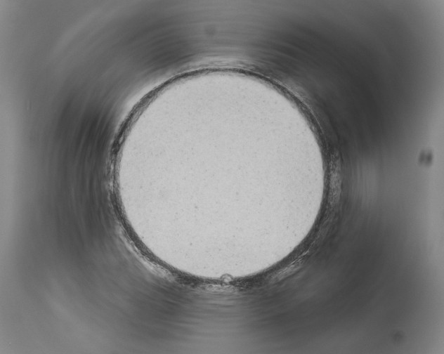 X0000113981119200911131049