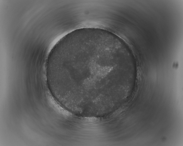 X0000113981120200911131049