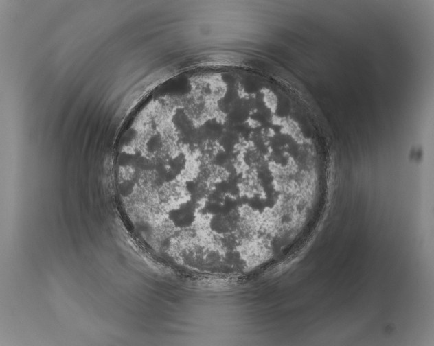 X0000113981121200911131049