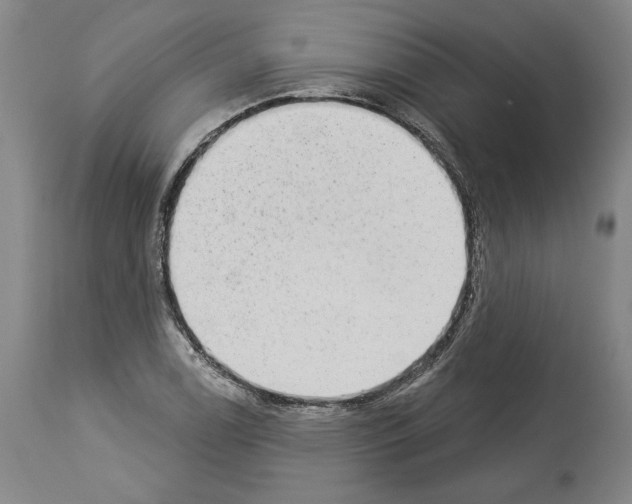 X0000113981122200911131049