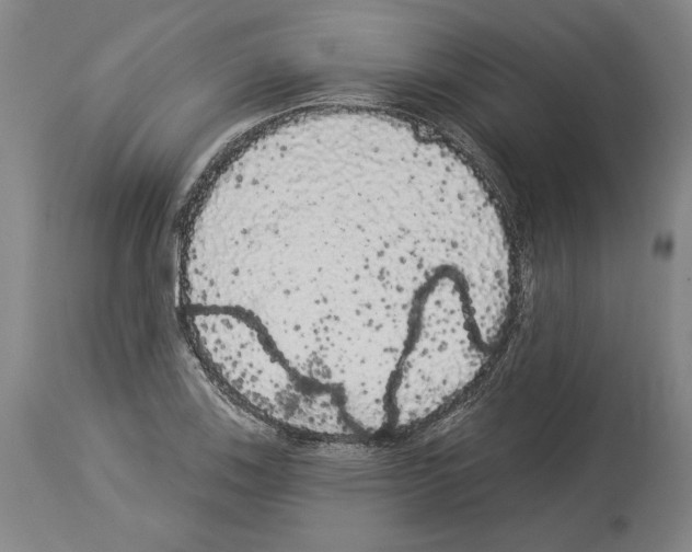 X0000113981123200911131049