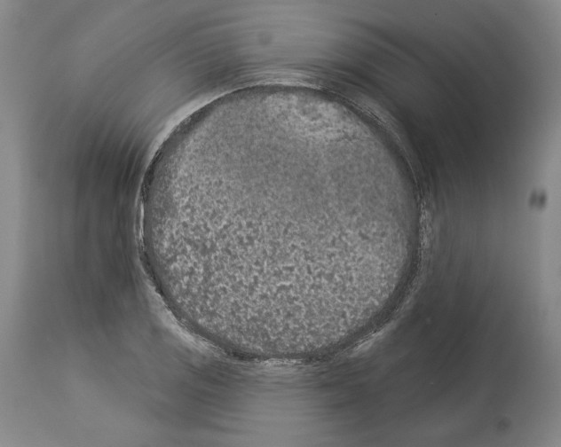 X0000113981125200911131049