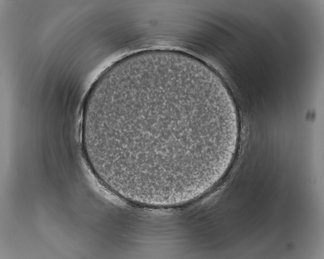 X0000113981126200911131049