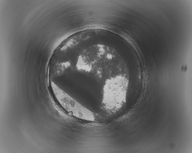 X0000113981127200911131049