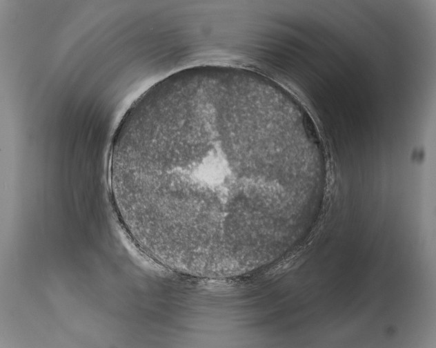 X0000113981128200911131049