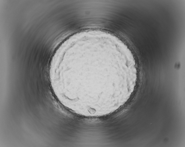 X0000113981129200911131049