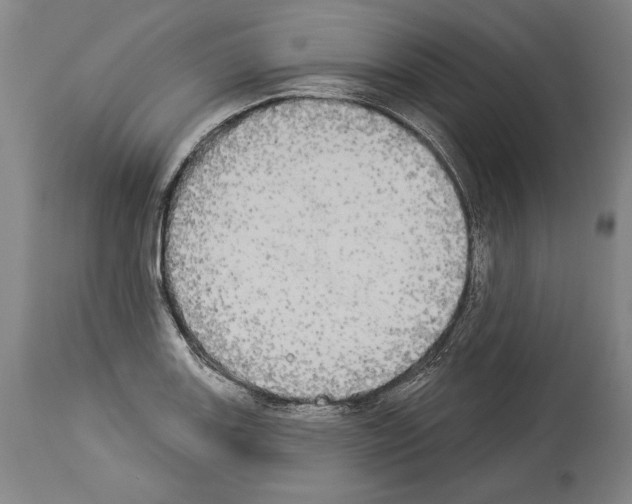 X0000113981131200911131049