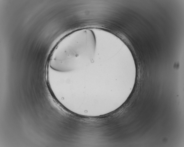 X0000113981132200911131049