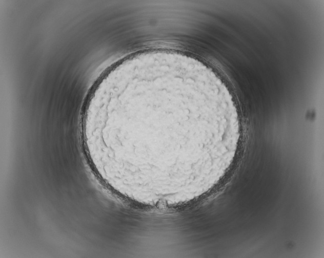 X0000113981133200911131049