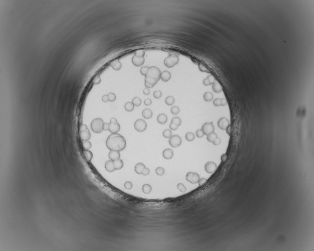 X0000113981134200911131049