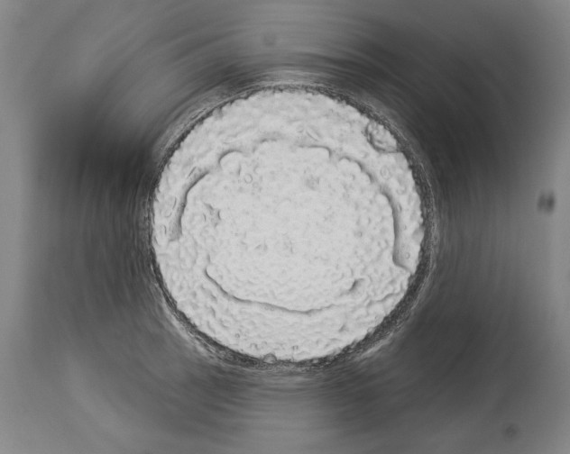 X0000113981137200911131049