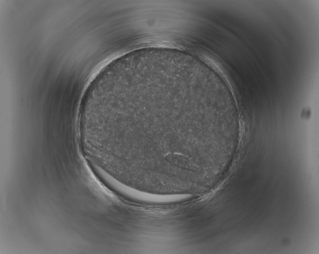 X0000113981141200911131049