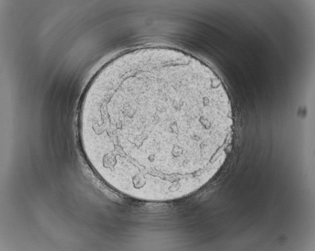 X0000113981142200911131049