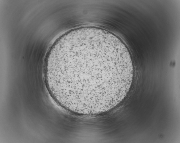 X0000113981143200911131049