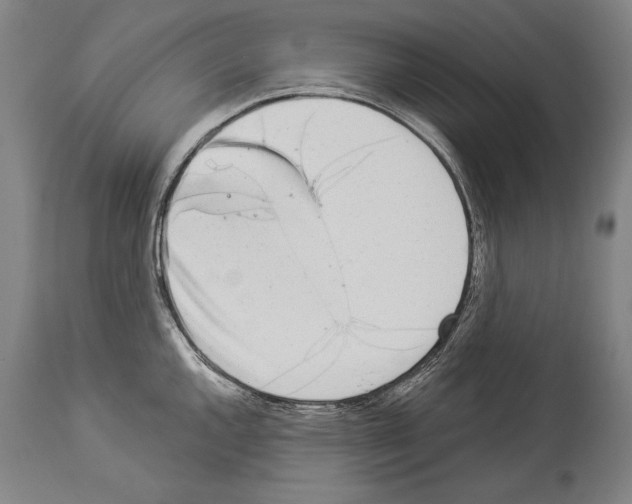 X0000113981144200911131049