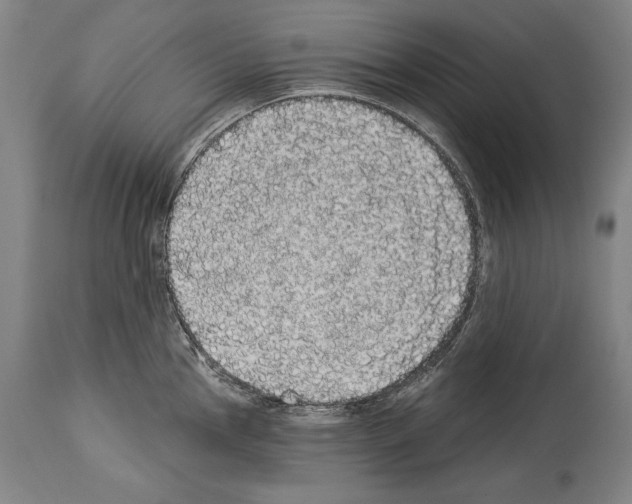 X0000113981145200911131049