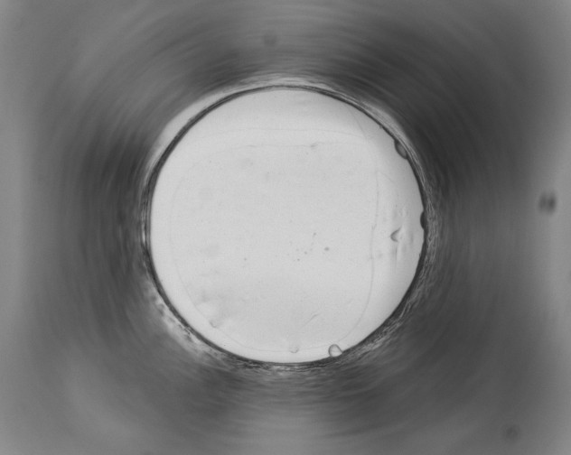 X0000113981148200911131049