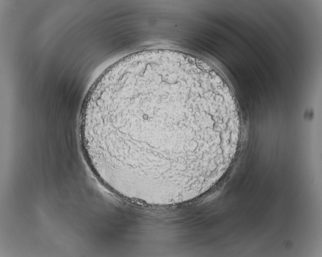 X0000113981149200911131049
