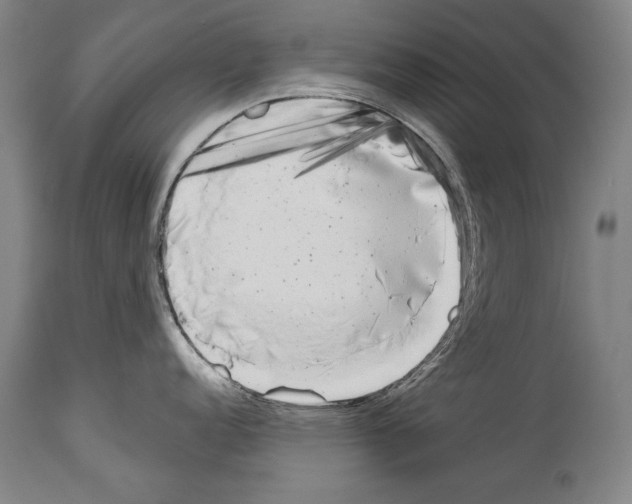 X0000113981152200911131049