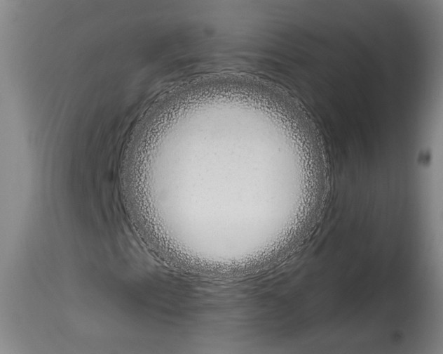 X0000113981153200911131048