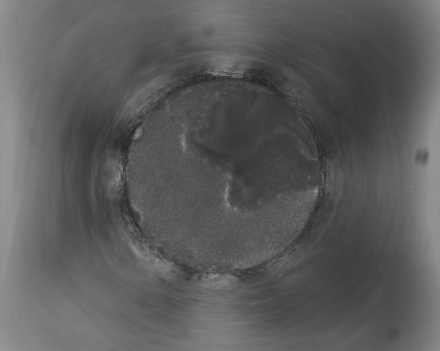 X0000113981154200911131048