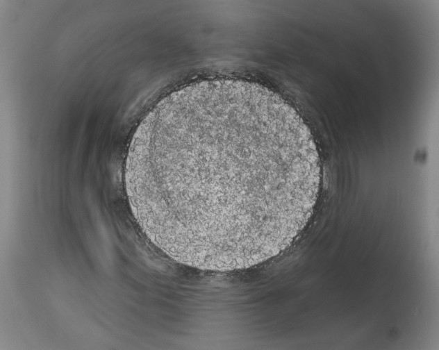 X0000113981155200911131048