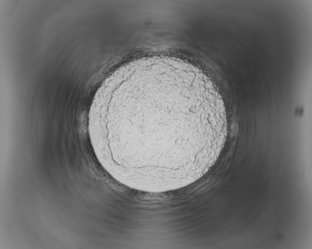 X0000113981156200911131048