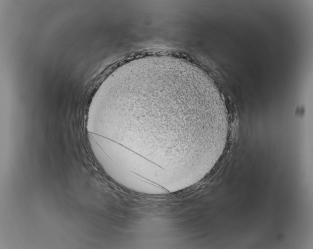 X0000113981157200911131048