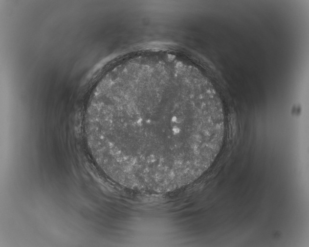 X0000113981158200911131048