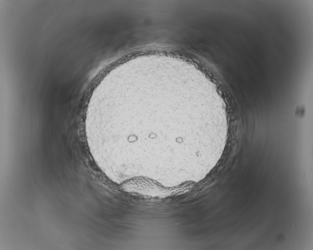X0000113981160200911131048