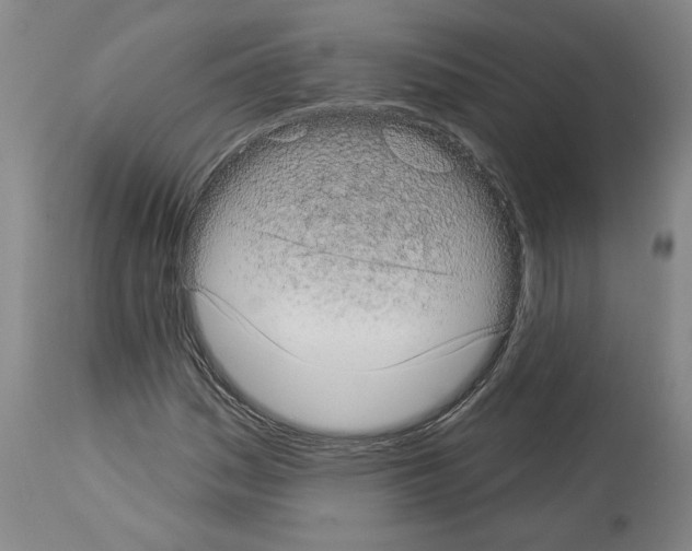 X0000113981161200911131048