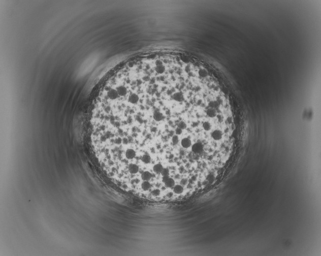 X0000113981162200911131048