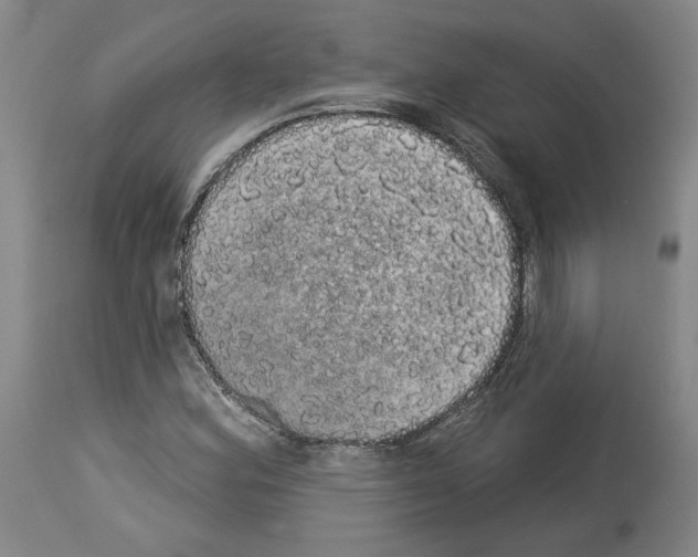 X0000113981164200911131048