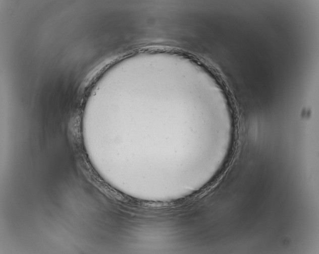X0000113981167200911131048