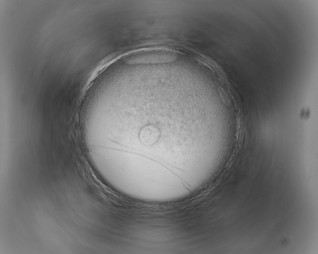 X0000113981168200911131048