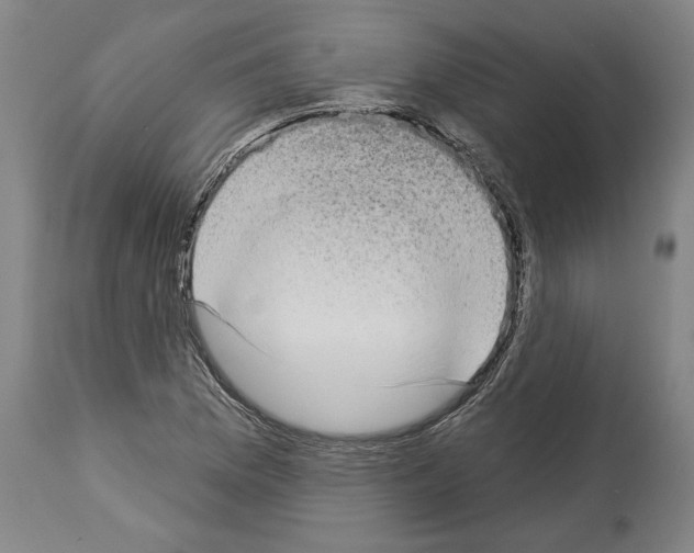 X0000113981169200911131048