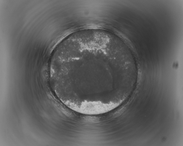 X0000113981170200911131048