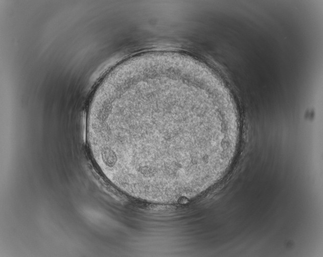 X0000113981171200911131048