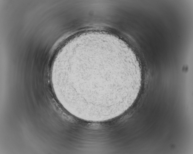 X0000113981172200911131048