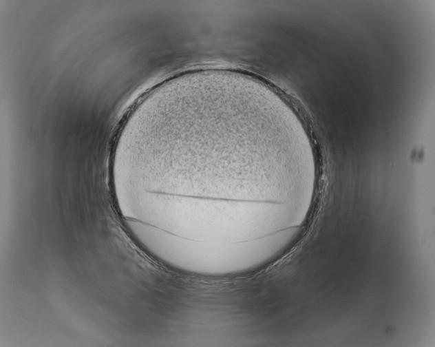 X0000113981173200911131048