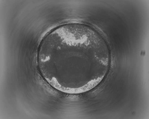 X0000113981174200911131048