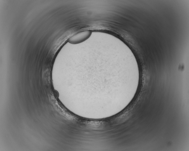 X0000113981177200911131048