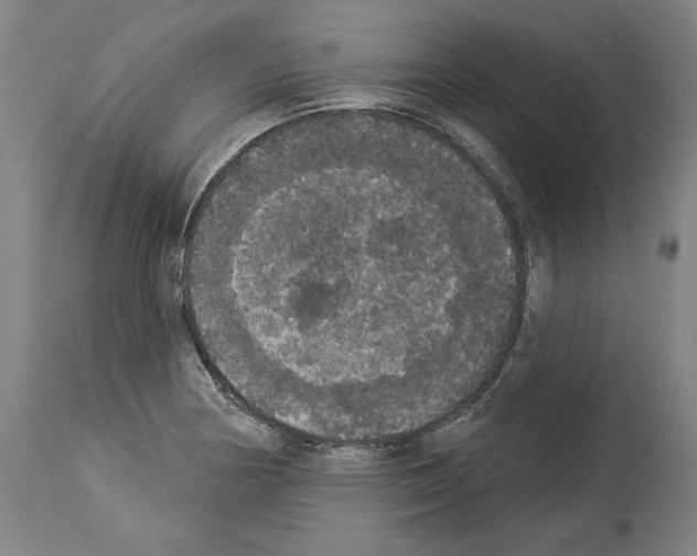 X0000113981178200911131048