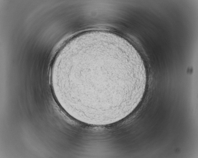 X0000113981180200911131048