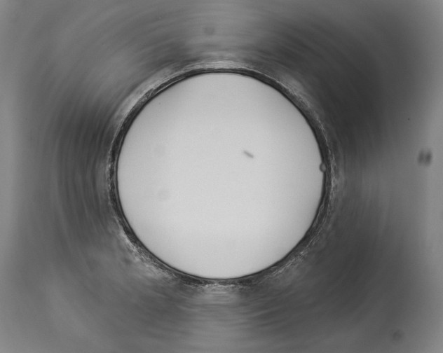 X0000113981181200911131048