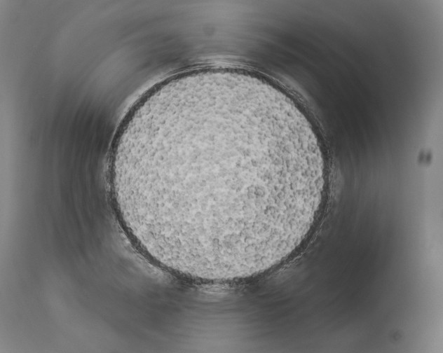 X0000113981182200911131048