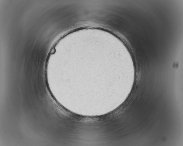 X0000113981183200911131048